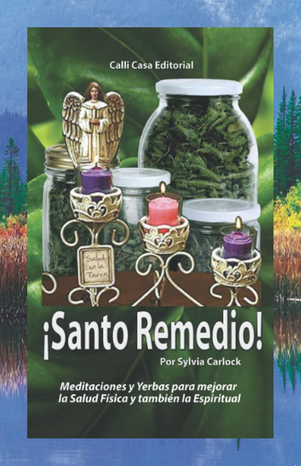 Book Title