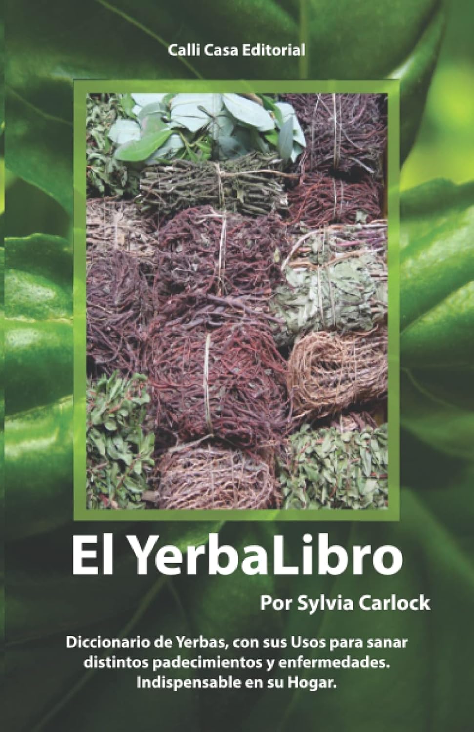Book Title